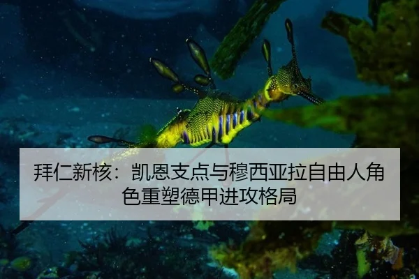 拜仁新核：凯恩支点与穆西亚拉自由人角色重塑德甲进攻格局