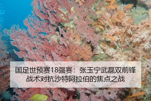 guo-zu-shi-yu-sai-qiang-sai-zhang-yu-ning-wu-lei-shuang-qian-feng-zhan-shu-dui-kang-sha-te-a-la-bo-de-jiao-dian-zhi-zhan-3-753.jpg
