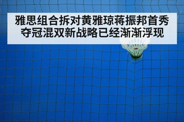 badminton net play